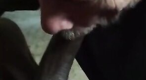 Grandpa Sucks My Interracial Dick (No Cum)