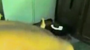 Amateur Daddies Group Sex in Indonesia