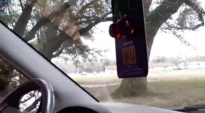 Bear Jerking Off Roadside After Class