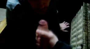 Cock Suckers in Action: Big Cocks, Amateur Blowjobs