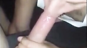 Cock Suckers in Action: Big Cocks, Amateur Blowjobs
