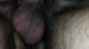 Bareback Bottom Takes a Hunk's Load