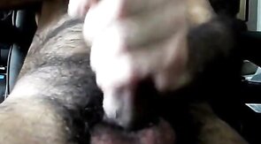 Hairy Bear Daddies Cum