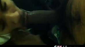 Chupando Rolão no Banheiro - Sexo Oral Amador