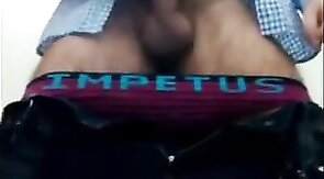 Bear Masturbates in Public Restroom and Cums