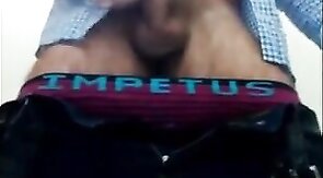 Bear Masturbates in Public Restroom and Cums