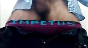 Bear Masturbates in Public Restroom and Cums