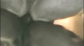 Big Black Cock for a Juicy Bareback Adventure