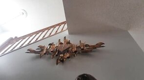 Skinny Twink Cums on Webcam