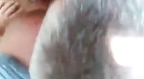 Mature Gay Bear Blowjob in the Woods