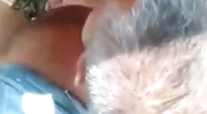 Mature Gay Bear Blowjob in the Woods