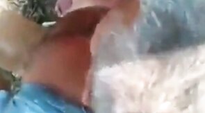 Mature Gay Bear Blowjob in the Woods