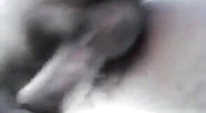 Daddy's Amateur Adventure