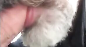 Amateur Hunk Blown by Russian Guy