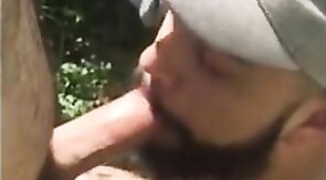 Fat Bear's Outdoor Blowjob Adventure