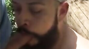 Fat Bear's Outdoor Blowjob Adventure