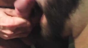 Bear Son's Cuddle with Daddy Bear