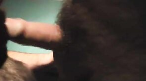 Bear Son's Cuddle with Daddy Bear