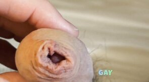 Ma grosse queue en érection