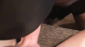 Sucking and Swallowing