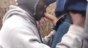 Three Gay Amateurs in the Woods