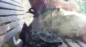 Public Park Masturbation Caught on Tape