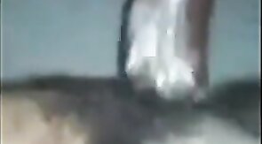 Black Bareback Amateur Takes Big Cock