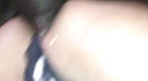 Latin Amateur Bareback: BBC Breeds My Hole