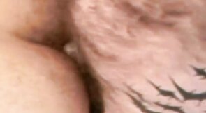 Hairy Bears Flip Fuck