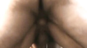 Hairy Bears Flip Fuck