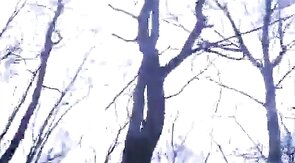 Bears Group Sex Outdoor