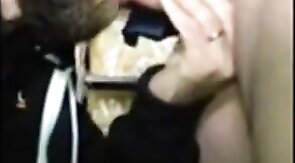 Verbal Bear Makes Cub Swallow