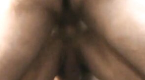 Hairy Bears Flip Fuck