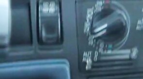 Big-Cock Blowjob in the Car with a Young Swedish Man