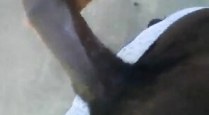 Huge Black Cock Masturbating and Cumming Outdoors