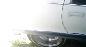 Huge Black Cock Masturbating and Cumming Outdoors