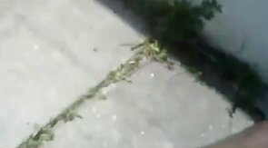 Huge Black Cock Masturbating and Cumming Outdoors