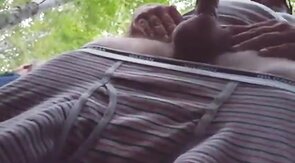 Daddy Bear Sucks in the Park