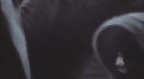 Daddy Bear Sucks in the Park