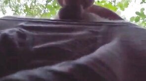 Daddy Bear Sucks in the Park