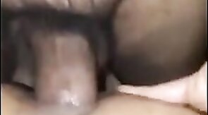 Super Bareback Latino Trio