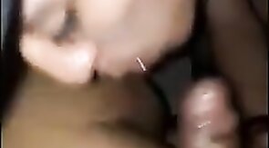 Super Bareback Latino Trio