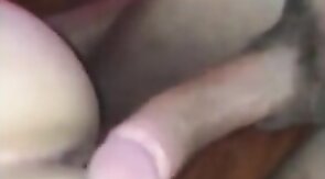 Bareback Amateur Breeding