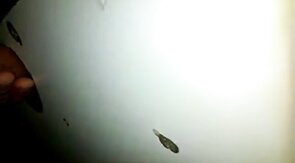 Glory Hole Suck and Swallow