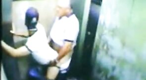 Daddy Bear and his Young Cub Caught on Camera