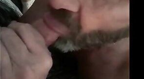 Daddy's Blowjob Practice with Amateur Bear Couple