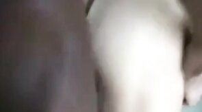 Big Black Cock Breeds White Hole Bareback