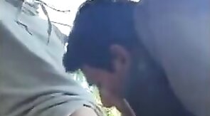 Outdoor Blowjob Adventure