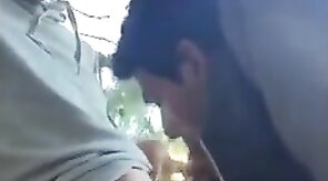 Outdoor Blowjob Adventure