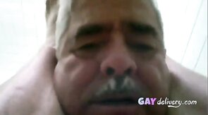 Bear Daddies